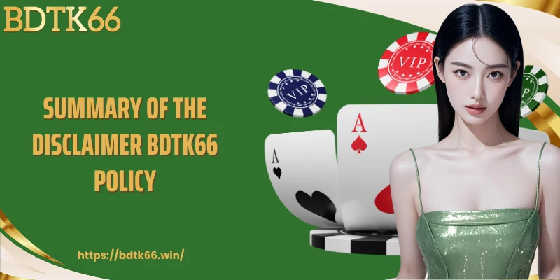 summary-of-disclaimer-bdtk66-policy