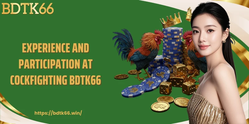 experience-and-participation-at-cockfighting-bdtk66