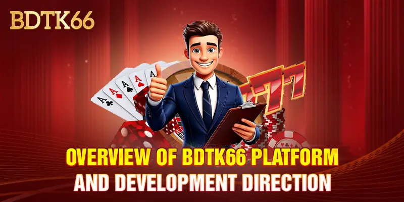 Overview of bdtk66 platform and development direction