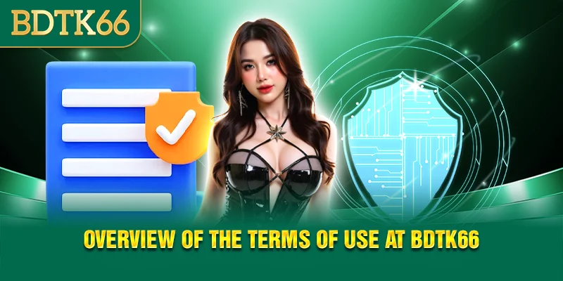 Overview of the terms of use at bdtk66